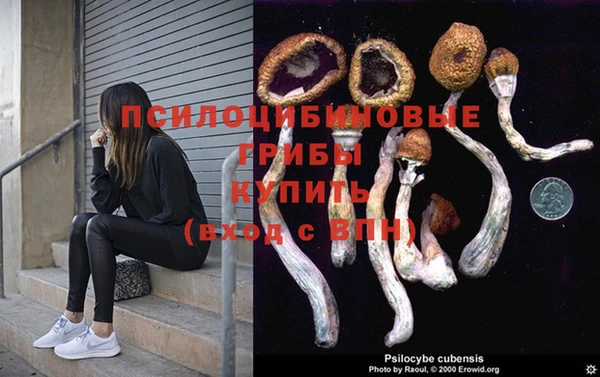 твердый Алексин