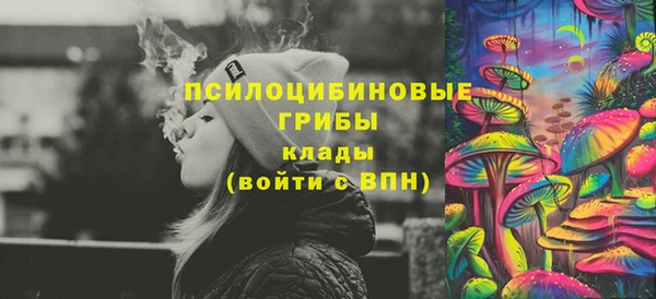 твердый Алексин