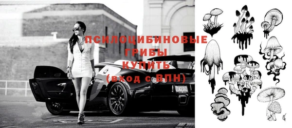 таблы Алексеевка