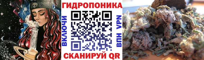 продажа наркотиков  Циолковский  Шишки марихуана конопля 